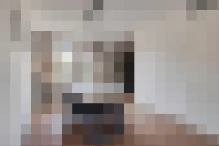 Philips van Dorpstraat 46 Oud-Vossemeer thumbnail 11