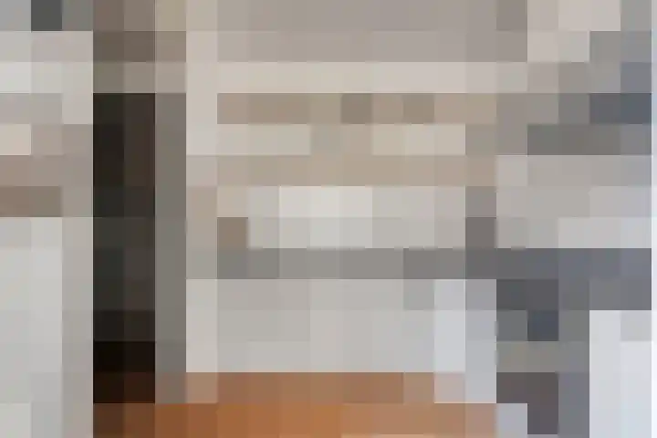 Philips van Dorpstraat 46 Oud-Vossemeer thumbnail 13