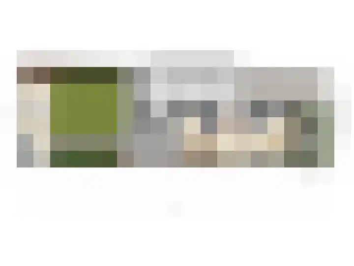 Philips van Dorpstraat 46 Oud-Vossemeer thumbnail 17