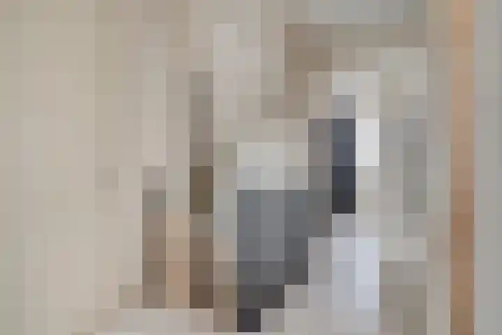 Philips van Dorpstraat 46 Oud-Vossemeer thumbnail 18