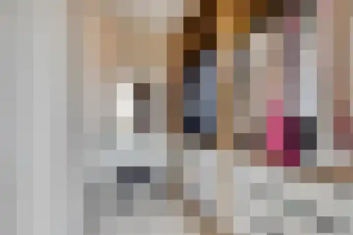 Philips van Dorpstraat 46 Oud-Vossemeer thumbnail 22