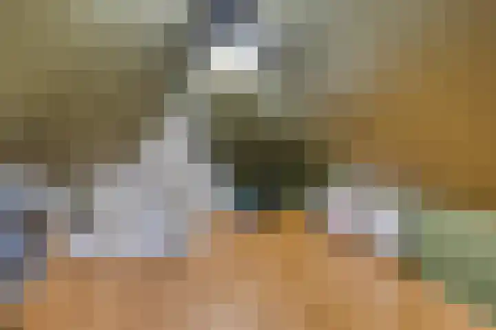 Philips van Dorpstraat 46 Oud-Vossemeer thumbnail 30