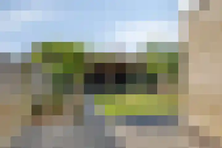 Philips van Dorpstraat 46 Oud-Vossemeer thumbnail 33