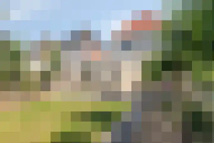 Philips van Dorpstraat 46 Oud-Vossemeer thumbnail 35