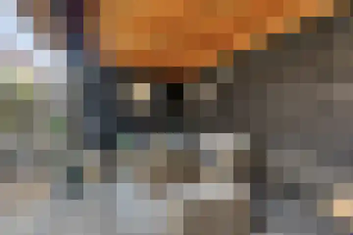 Philips van Dorpstraat 46 Oud-Vossemeer thumbnail 36