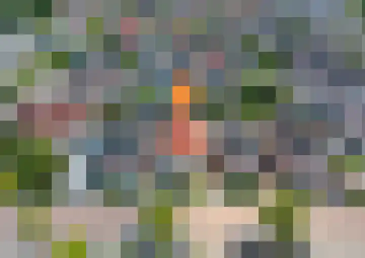 Philips van Dorpstraat 46 Oud-Vossemeer thumbnail 4
