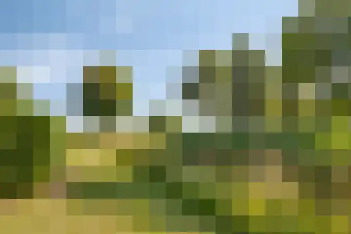 Philips van Dorpstraat 46 Oud-Vossemeer thumbnail 41