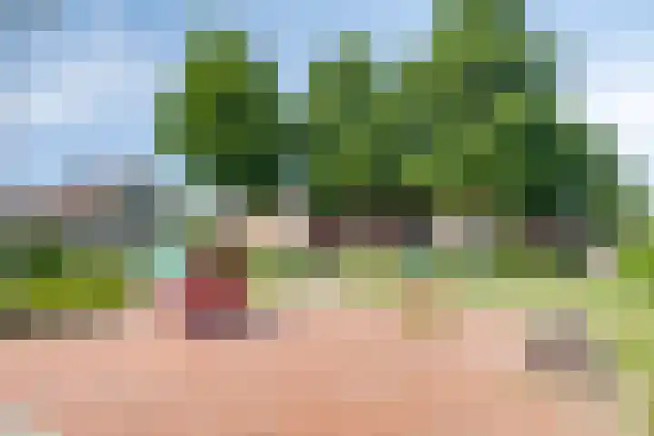Philips van Dorpstraat 46 Oud-Vossemeer thumbnail 42