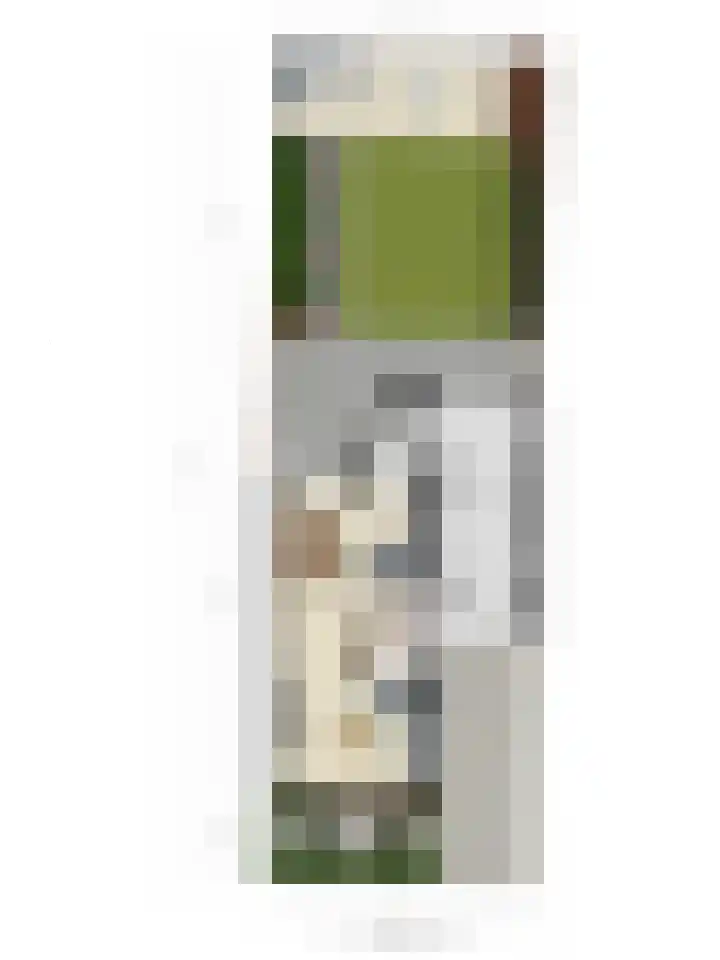 Philips van Dorpstraat 46 Oud-Vossemeer thumbnail 50