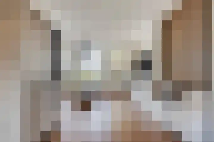 Philips van Dorpstraat 46 Oud-Vossemeer thumbnail 7
