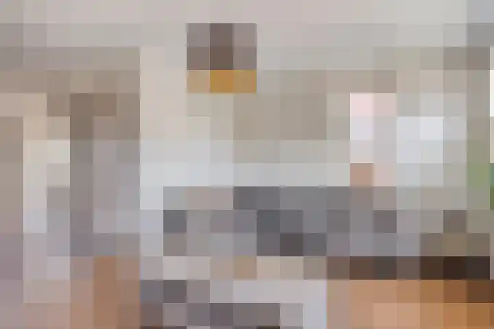 Philips van Dorpstraat 46 Oud-Vossemeer thumbnail 8