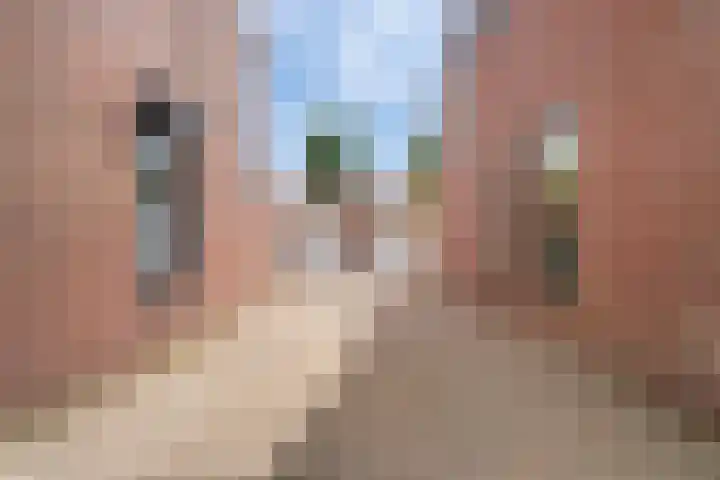Philips van Hornestraat 24 Weert thumbnail 49