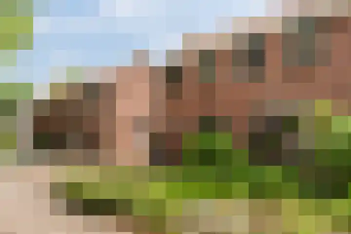 Philips van Hornestraat 24 Weert thumbnail 6