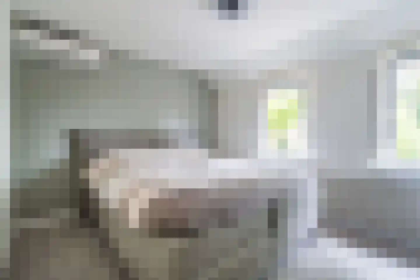Philips van Hornestraat 7 Weert thumbnail 26