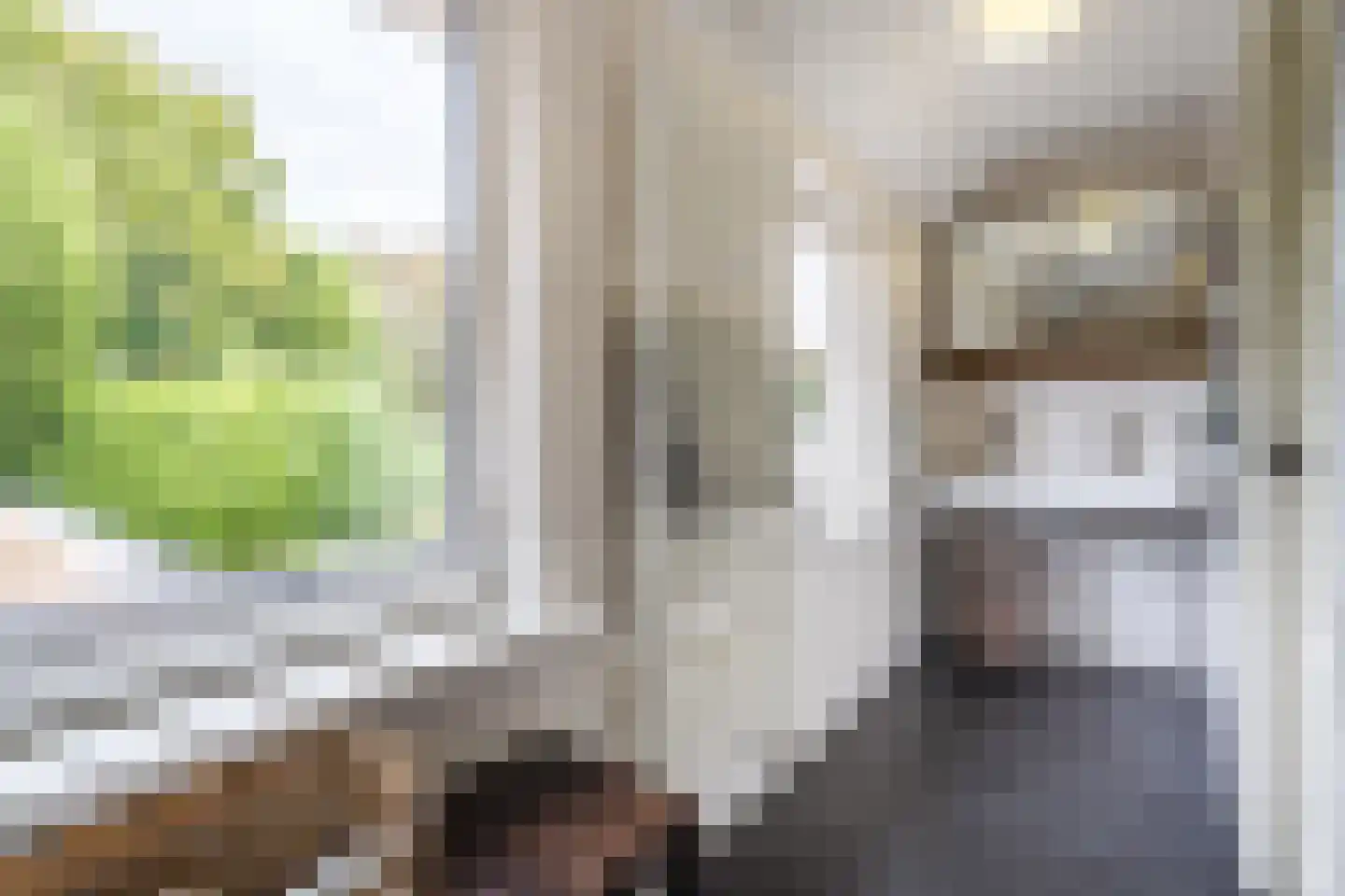 Philips van Hornestraat 7 Weert thumbnail 30