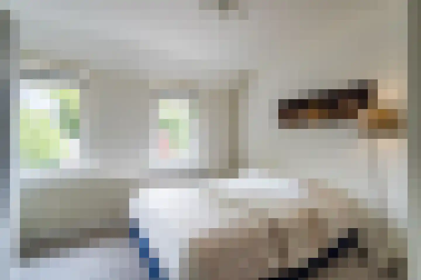 Philips van Hornestraat 7 Weert thumbnail 35
