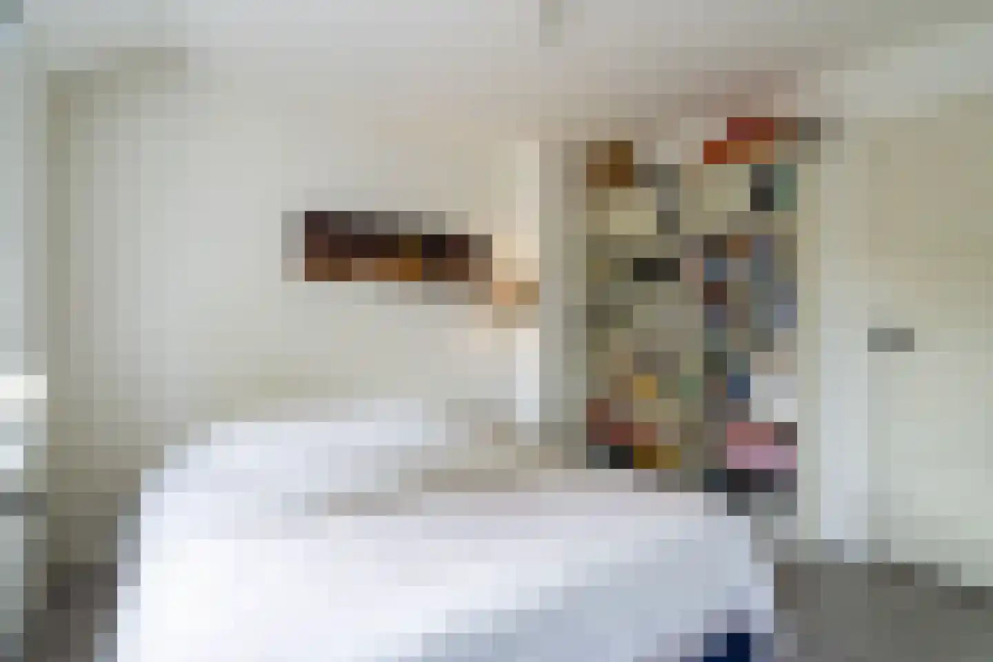 Philips van Hornestraat 7 Weert thumbnail 36