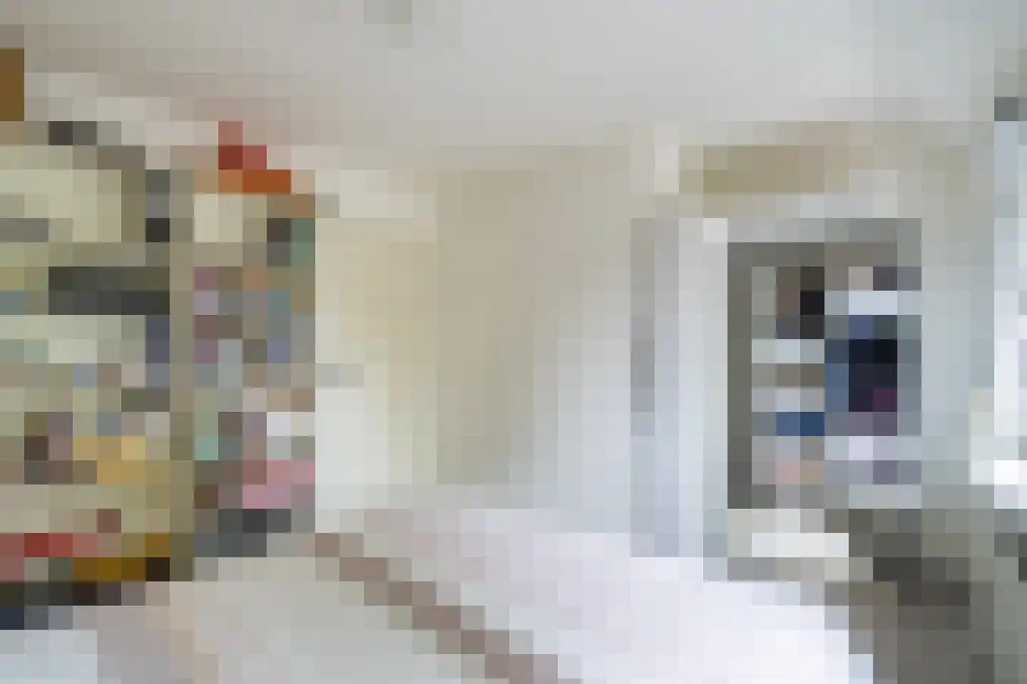 Philips van Hornestraat 7 Weert thumbnail 37