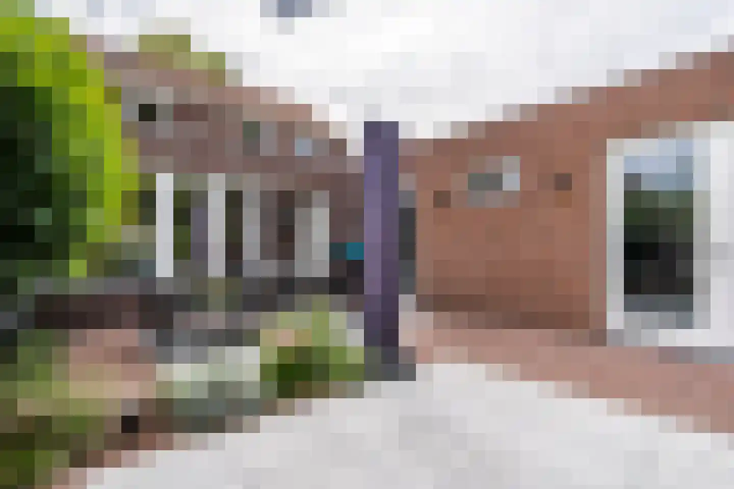 Philips van Hornestraat 7 Weert thumbnail 4