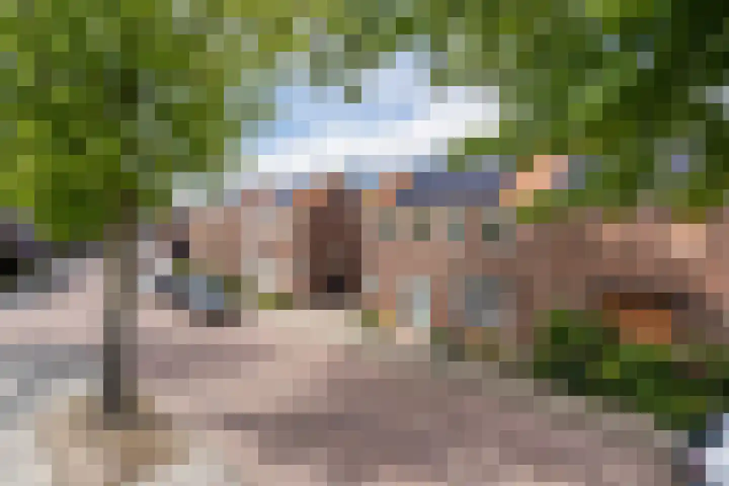 Philips van Hornestraat 7 Weert thumbnail 42