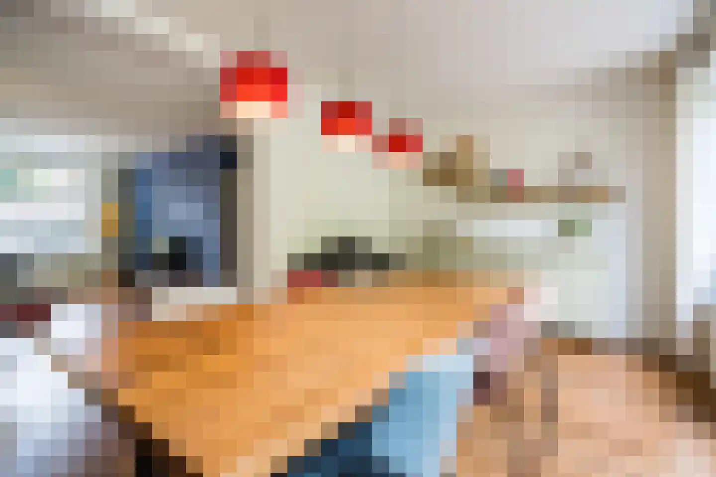 Philips van Hornestraat 7 Weert thumbnail 7