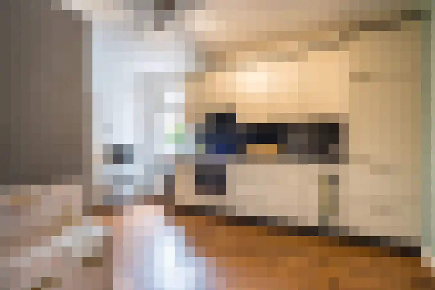 Philips van Hornestraat 7 Weert thumbnail 9