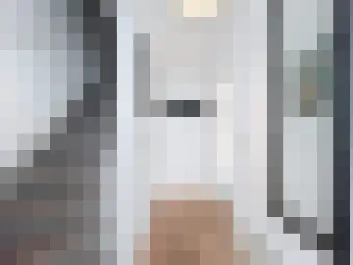 Philips van Kleefstraat 44 Breskens thumbnail 10