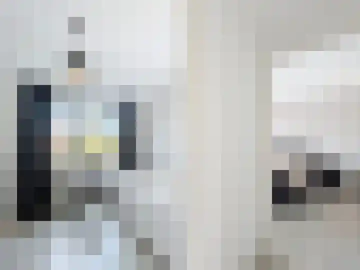 Philips van Kleefstraat 44 Breskens thumbnail 11
