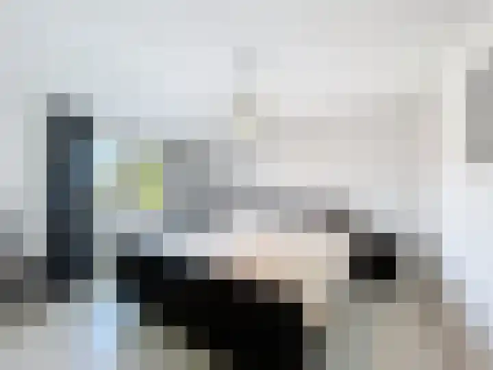 Philips van Kleefstraat 44 Breskens thumbnail 12