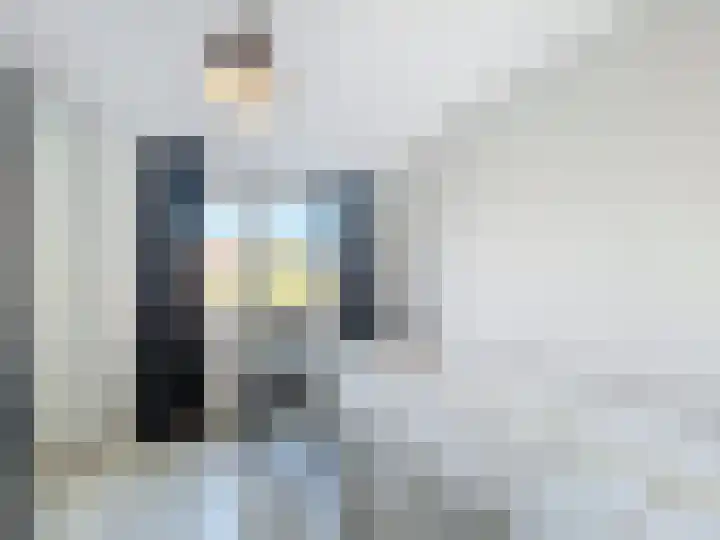 Philips van Kleefstraat 44 Breskens thumbnail 13