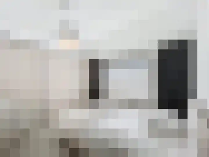 Philips van Kleefstraat 44 Breskens thumbnail 16