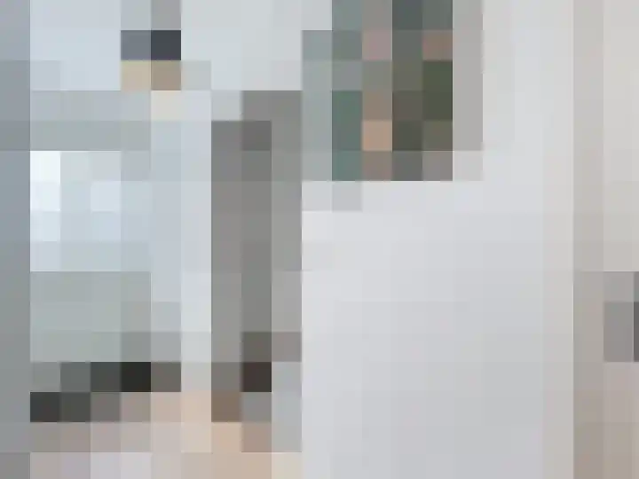Philips van Kleefstraat 44 Breskens thumbnail 4