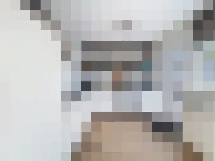 Philips van Kleefstraat 44 Breskens thumbnail 9