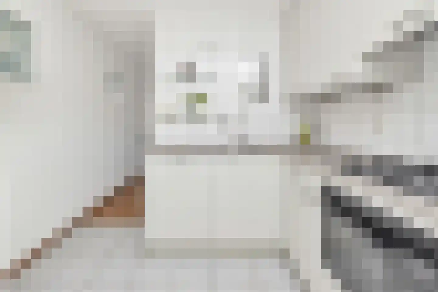 Philips van Nassaustraat 1 Sleeuwijk thumbnail 12