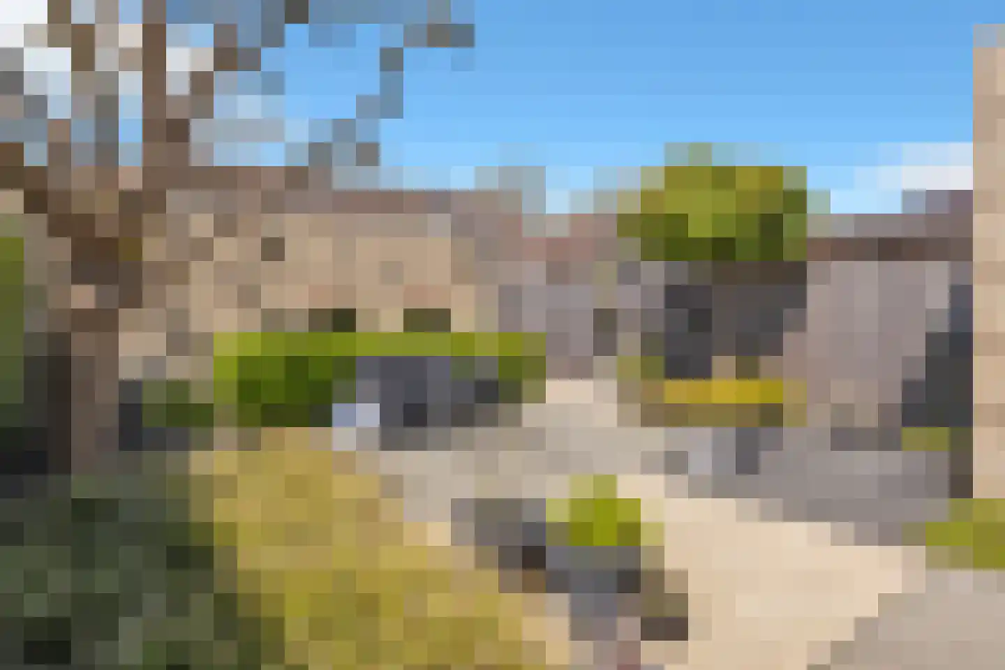 Philips van Nassaustraat 1 Sleeuwijk thumbnail 17