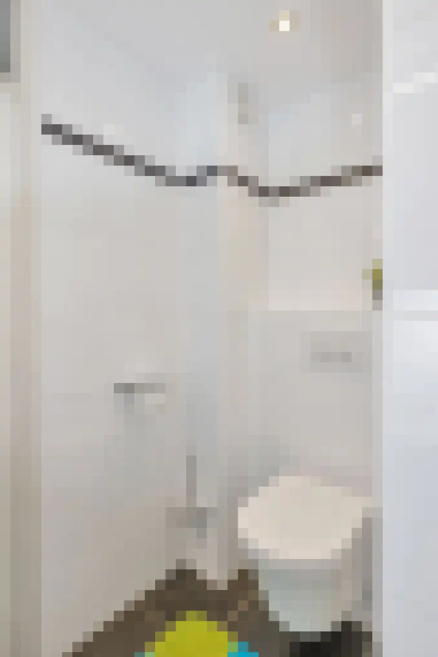 Philips van Nassaustraat 1 Sleeuwijk thumbnail 24