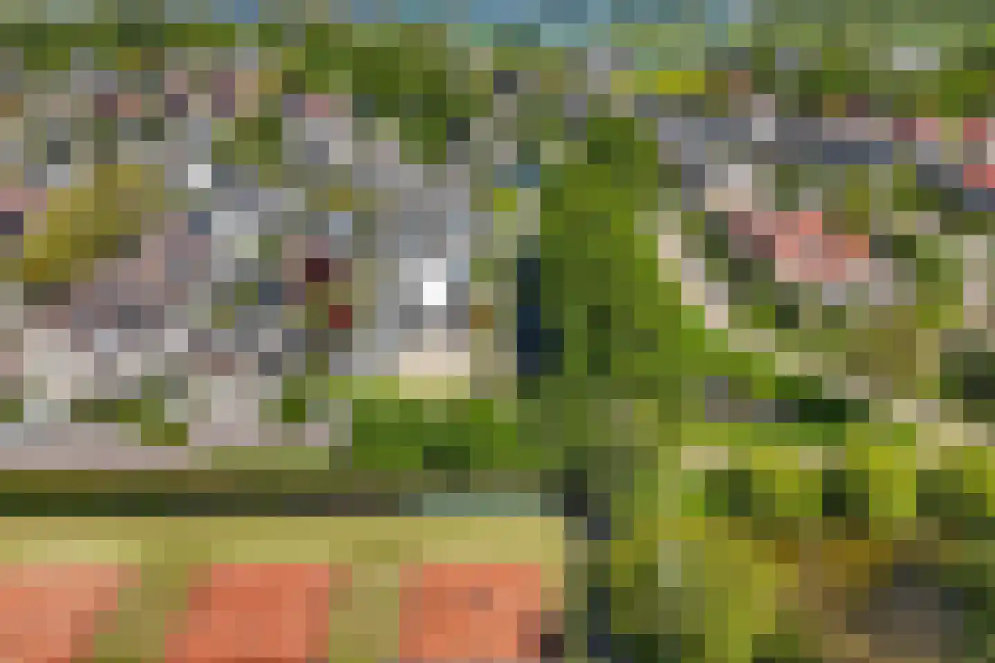 Philips van Nassaustraat 1 Sleeuwijk thumbnail 34