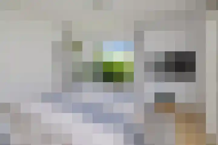Philips van Nassaustraat 25 Sleeuwijk thumbnail 15