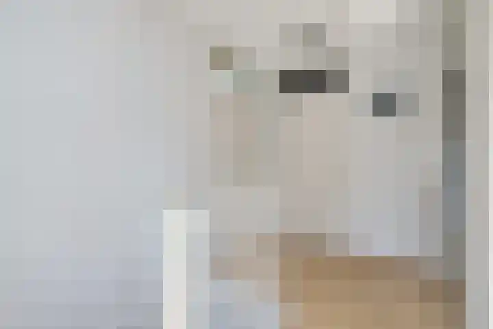 Philips van Nassaustraat 25 Sleeuwijk thumbnail 25