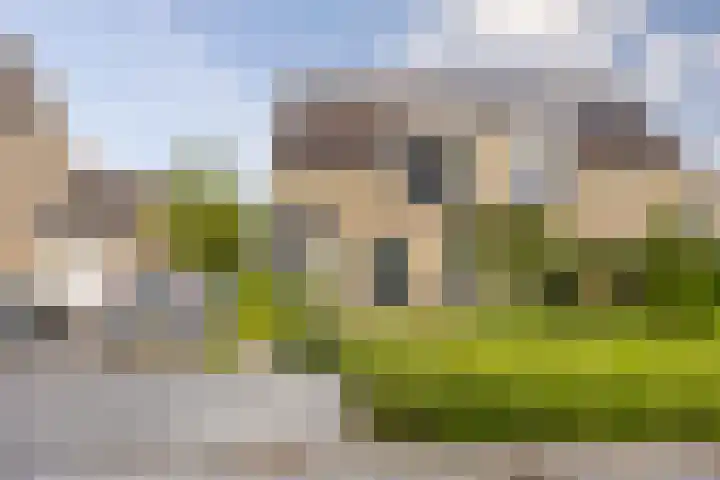 Philips van Nassaustraat 25 Sleeuwijk thumbnail 36