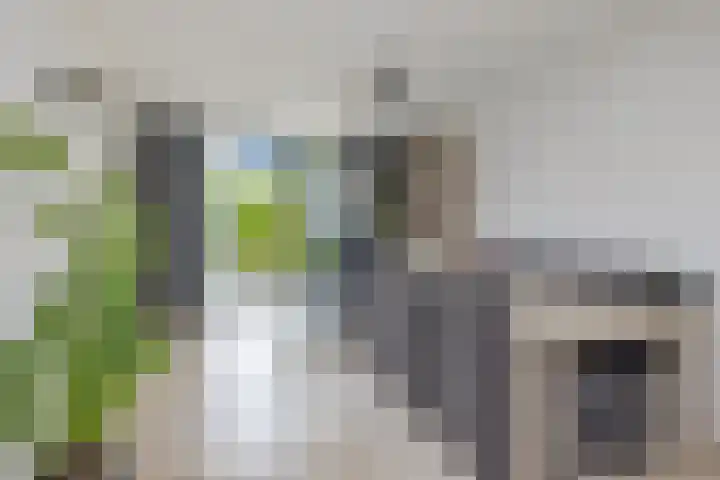 Philips van Nassaustraat 25 Sleeuwijk thumbnail 9