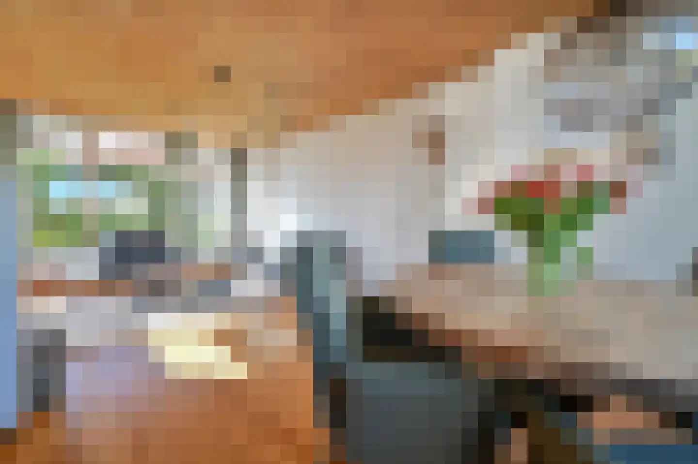 Philips van Wassenaerln 7 Nederhorst den Berg thumbnail 10