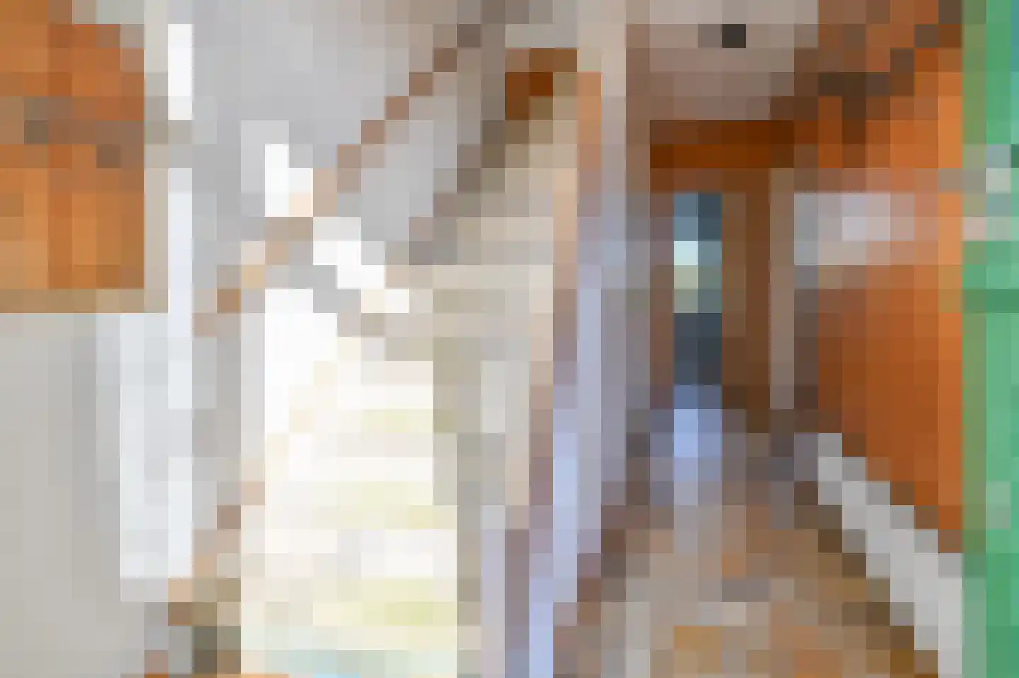 Philips van Wassenaerln 7 Nederhorst den Berg thumbnail 13