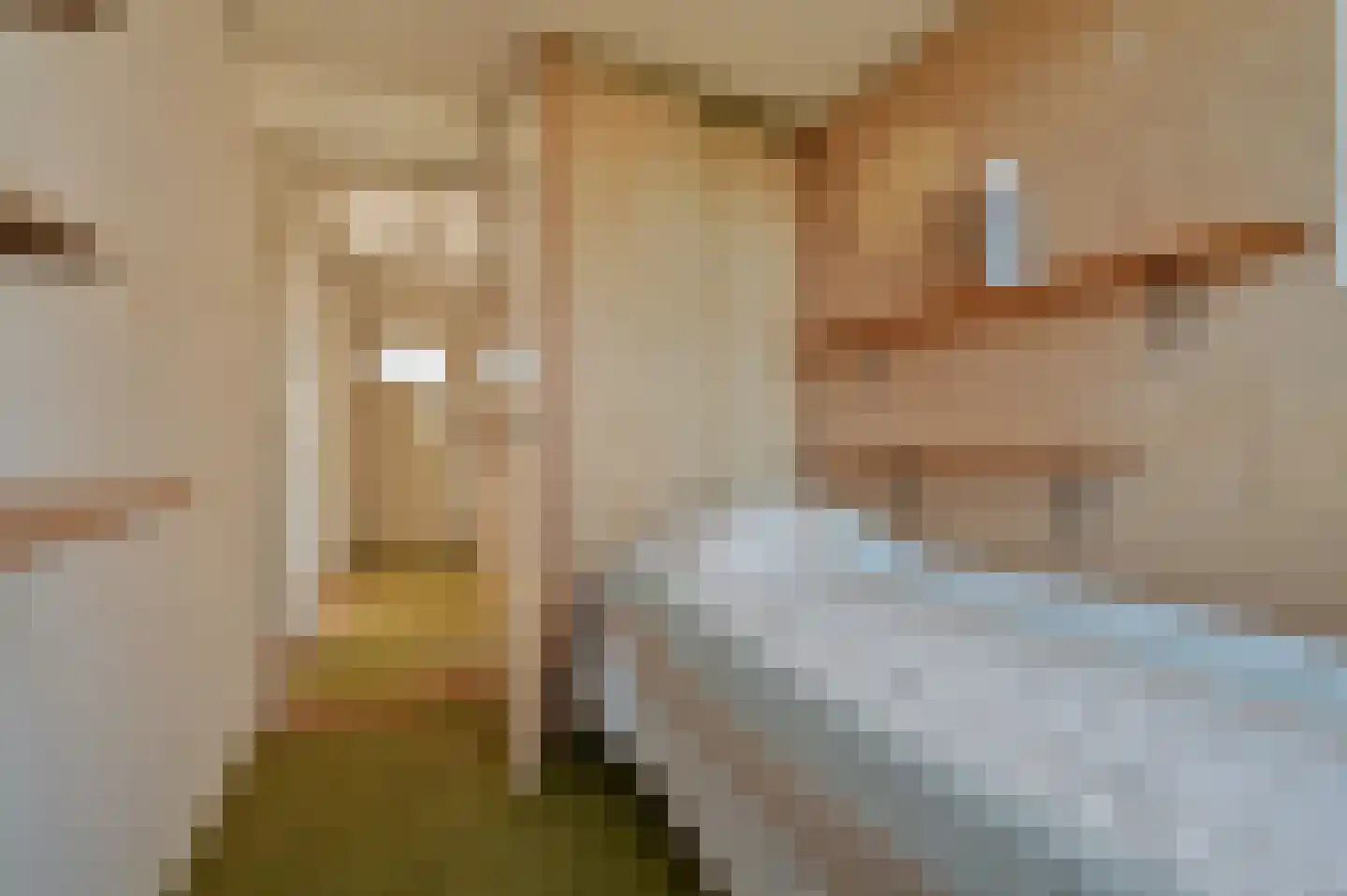 Philips van Wassenaerln 7 Nederhorst den Berg thumbnail 16