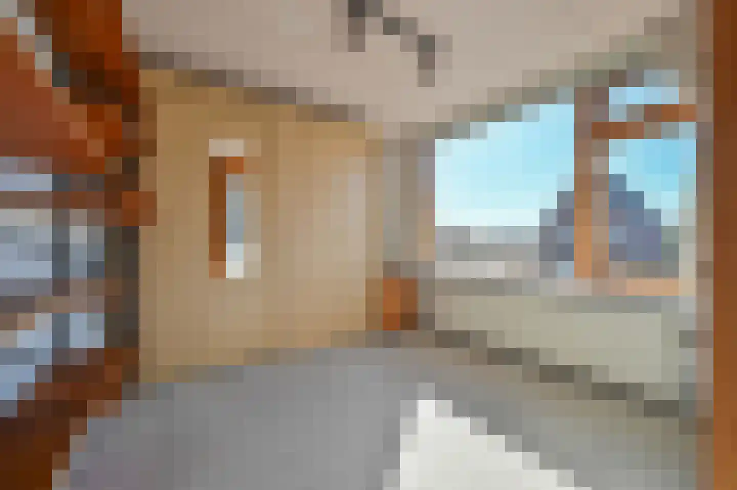 Philips van Wassenaerln 7 Nederhorst den Berg thumbnail 22