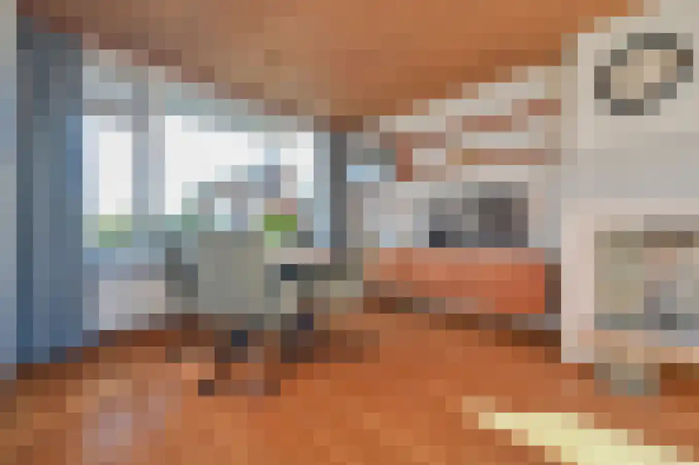 Philips van Wassenaerln 7 Nederhorst den Berg thumbnail 9