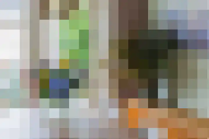 Philips Vingboonsstraat 11 Tilburg thumbnail 13