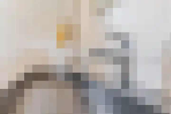 Philips Vingboonsstraat 11 Tilburg thumbnail 24