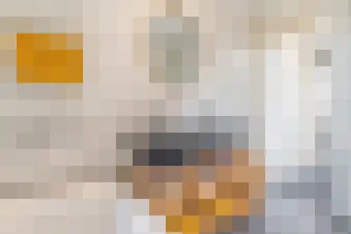 Philips Vingboonsstraat 11 Tilburg thumbnail 25