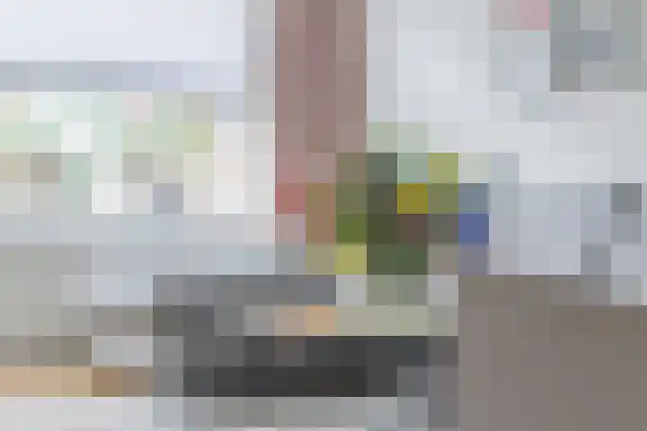 Philips Vingboonsstraat 11 Tilburg thumbnail 9